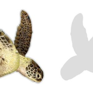 Ornament - Issued 2011