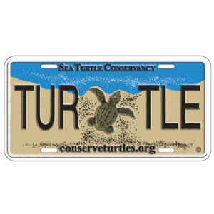 Replica Sea Turtle License Plate