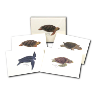 Sea Turtle Notecards
